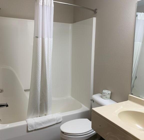 Номер Стандарт, Microtel Inn & Suites By Wyndham Fond Du Lac