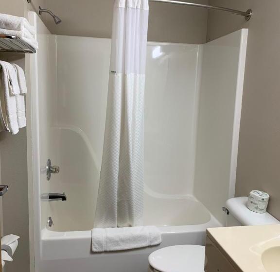 Студия Стандарт, Microtel Inn & Suites By Wyndham Fond Du Lac