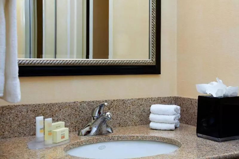 سوئیت برای معلولان, Microtel Inn & Suites By Wyndham Ft. Worth North/at Fossil