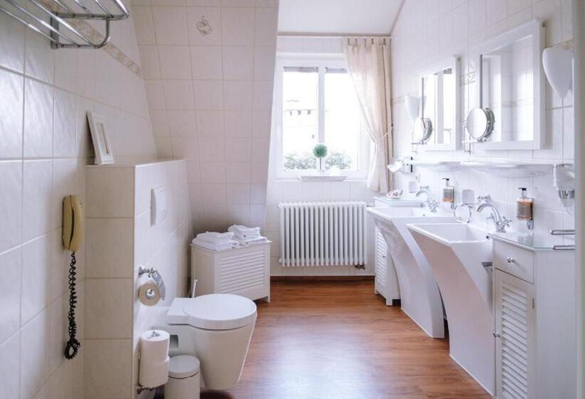 غرفة قياسية مطلّة علي النهر, Ringhotel Schloss Tangermünde