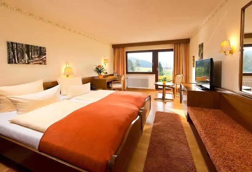 コンフォートシングルルーム, Silberkönig Schwarzwald Hotel & Restaurant Ring