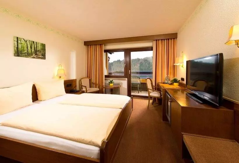 コンフォートシングルルーム, Silberkönig Schwarzwald Hotel & Restaurant Ring