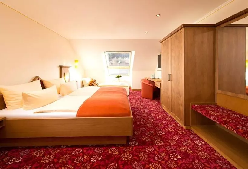コンフォートシングルルーム, Silberkönig Schwarzwald Hotel & Restaurant Ring