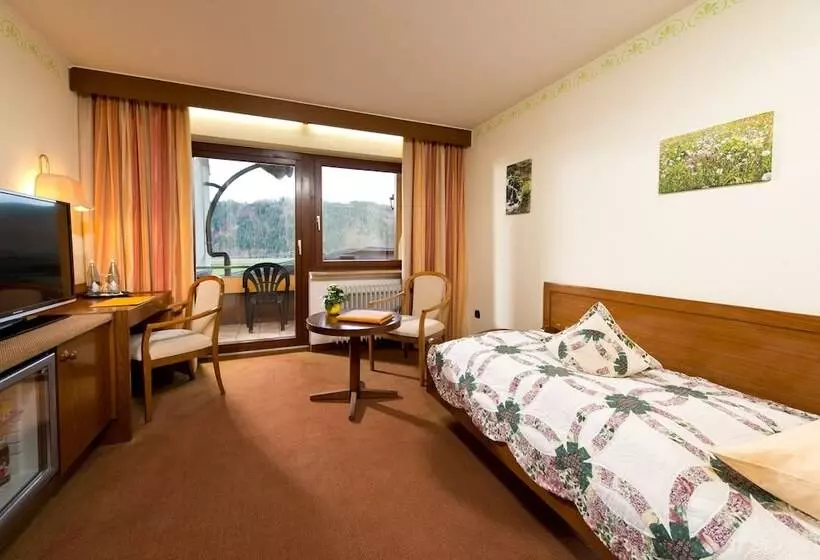 エコノミーシングルルーム, Silberkönig Schwarzwald Hotel & Restaurant Ring