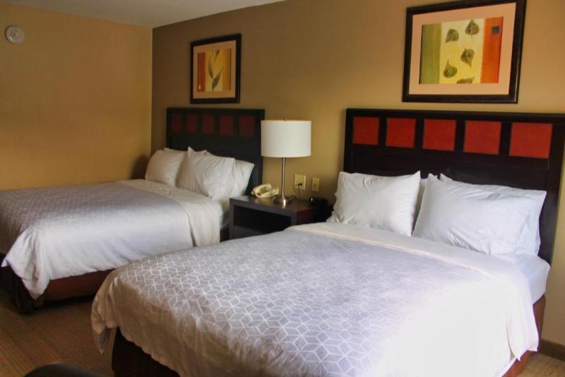 キングサイズベッドのスイートルーム, Elysée Secret