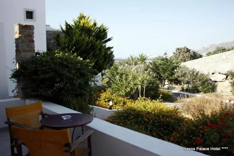 スタンダードルーム, Naxos Palace