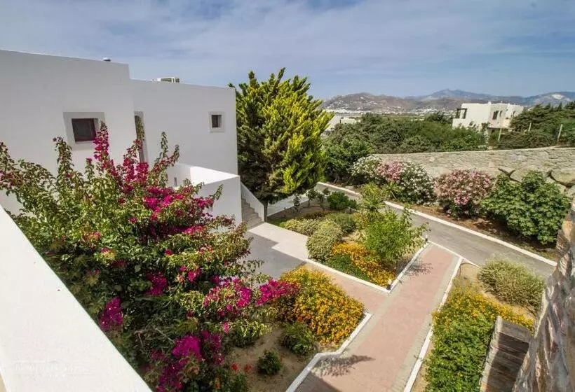 スタンダード４人部屋, Naxos Palace