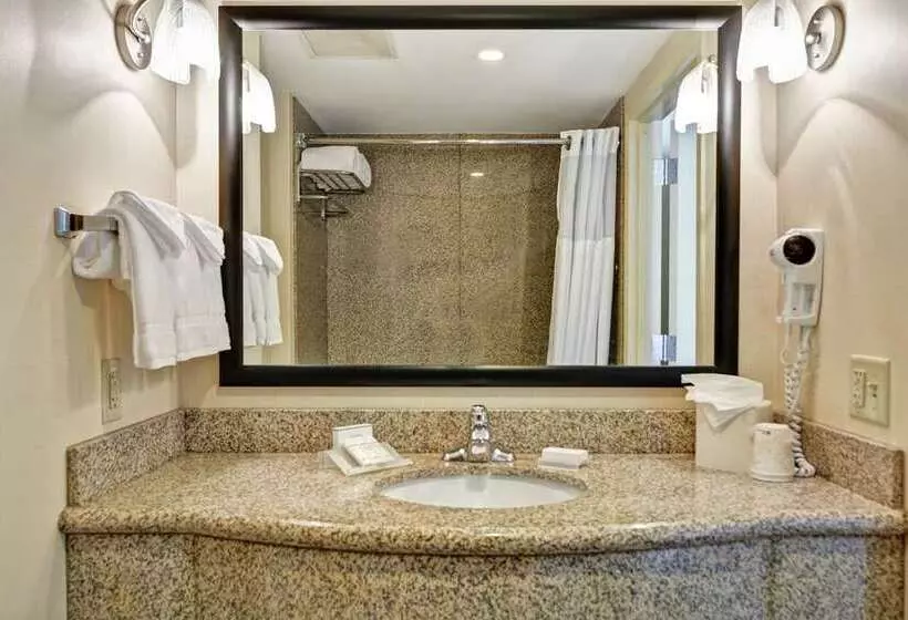 اتاق استاندارد با تخت بزرگ, Pennyweight Hotel Boston, Curio Collection By Hilton