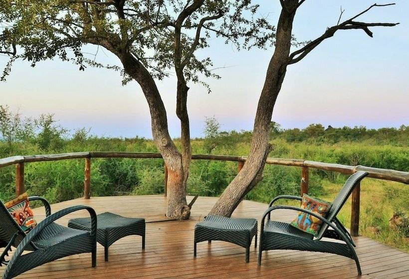 شقة ديلوكس غرفة واحدة, Motswiri Private Safari Lodge