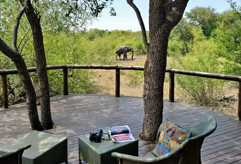 １ベッドルームのデラックスアパートメント, Motswiri Private Safari Lodge