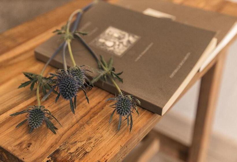 חדר סטנדרט עם מרפסת, B&b I Cinque Mori