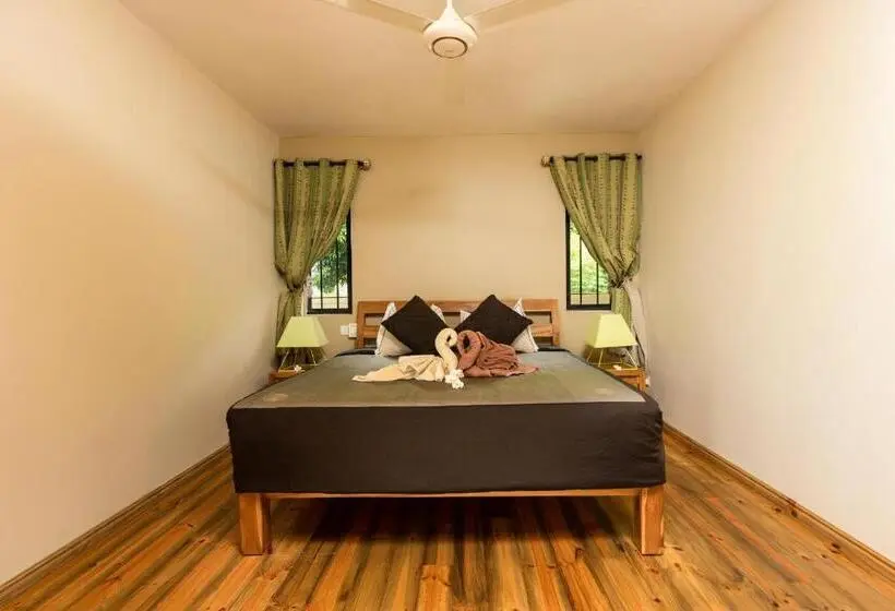 اتاق سوپریور با تخت بزرگ, Happy Days Guest House