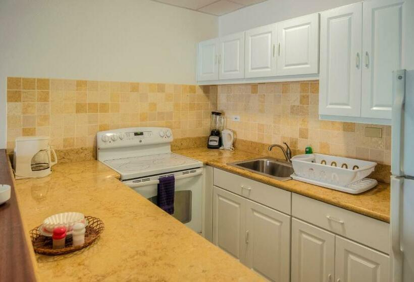1 Bedroom Deluxe Apartment Sea View, Shoal Bay Villas
