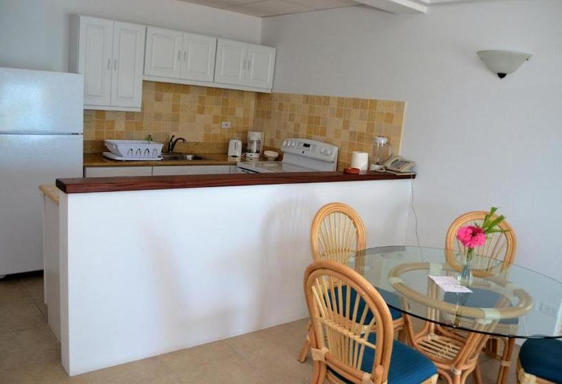 带海景及1个卧室的复式公寓, Shoal Bay Villas