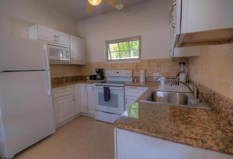 带2个卧室的公寓, Shoal Bay Villas