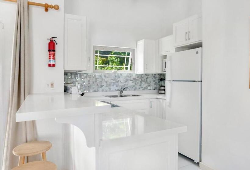 带1个卧室的豪华公寓, Shoal Bay Villas