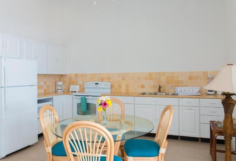 带1个卧室的豪华公寓, Shoal Bay Villas