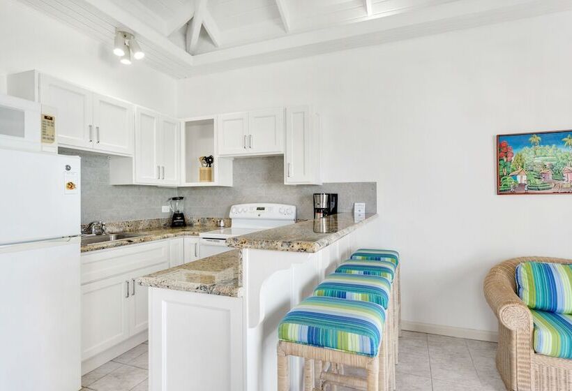 带1个卧室的带海景的公寓, Shoal Bay Villas