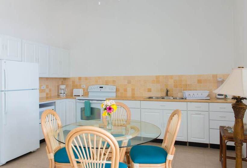 带1个卧室的豪华公寓, Shoal Bay Villas