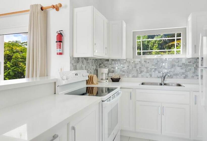 带1个卧室的豪华公寓, Shoal Bay Villas