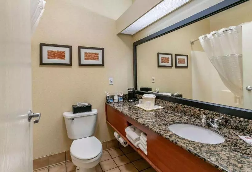 اتاق استاندارد با تخت بزرگ, Comfort Inn Fort Collins North