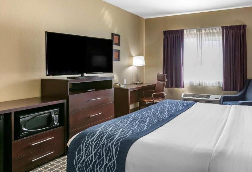 غرفة قياسية سرير كينج, Comfort Inn Fort Collins North