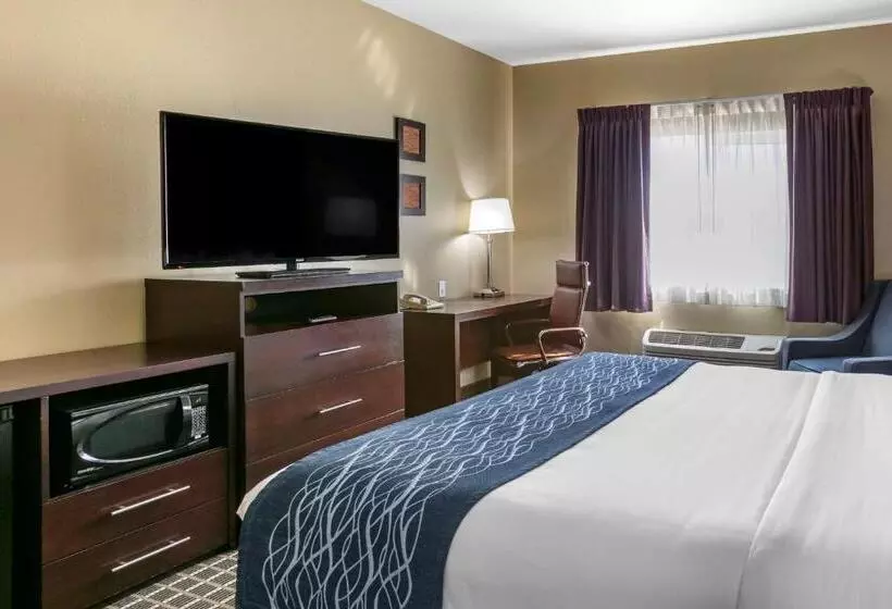 اتاق استاندارد با تخت بزرگ, Comfort Inn Fort Collins North
