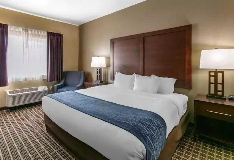 اتاق استاندارد با تخت بزرگ, Comfort Inn Fort Collins North