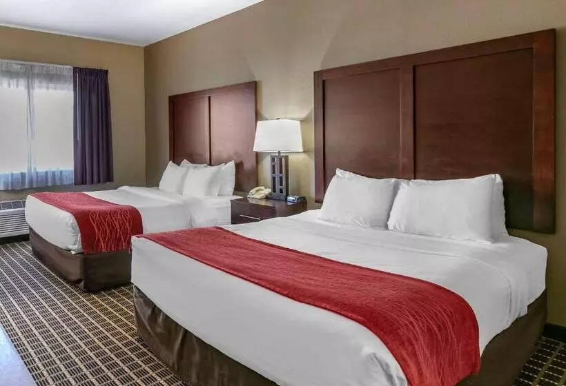 اتاق استاندارد با چشم‌انداز کوهستان, Comfort Inn Fort Collins North