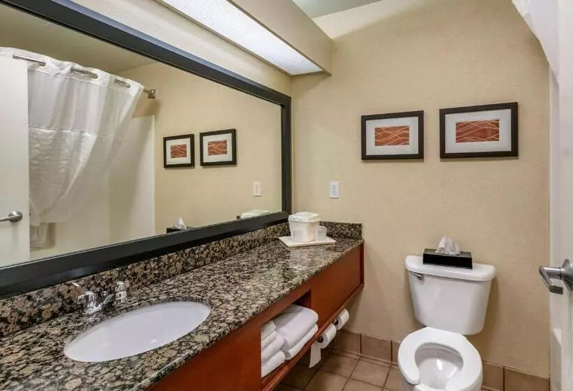 سوئیت با تخت بزرگ, Comfort Inn Fort Collins North