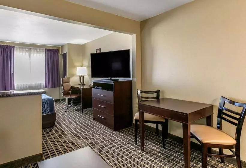 سوئیت با تخت بزرگ, Comfort Inn Fort Collins North