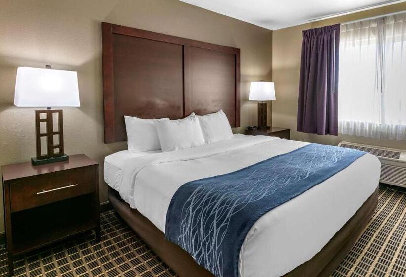 جناح سرير كينج, Comfort Inn Fort Collins North