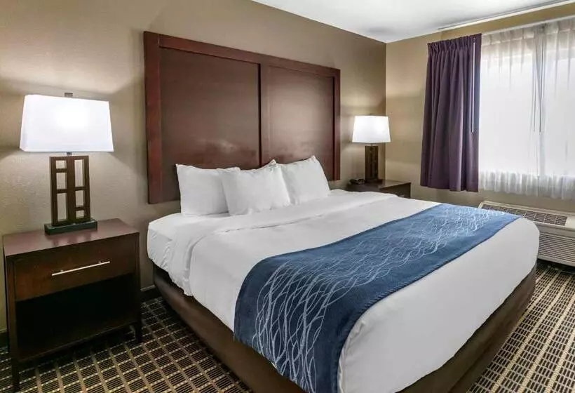 سوئیت با تخت بزرگ, Comfort Inn Fort Collins North