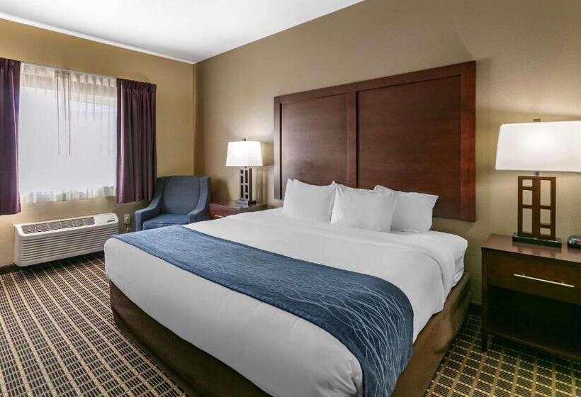 غرفة قياسية مطلة على الجبل, Comfort Inn Fort Collins North
