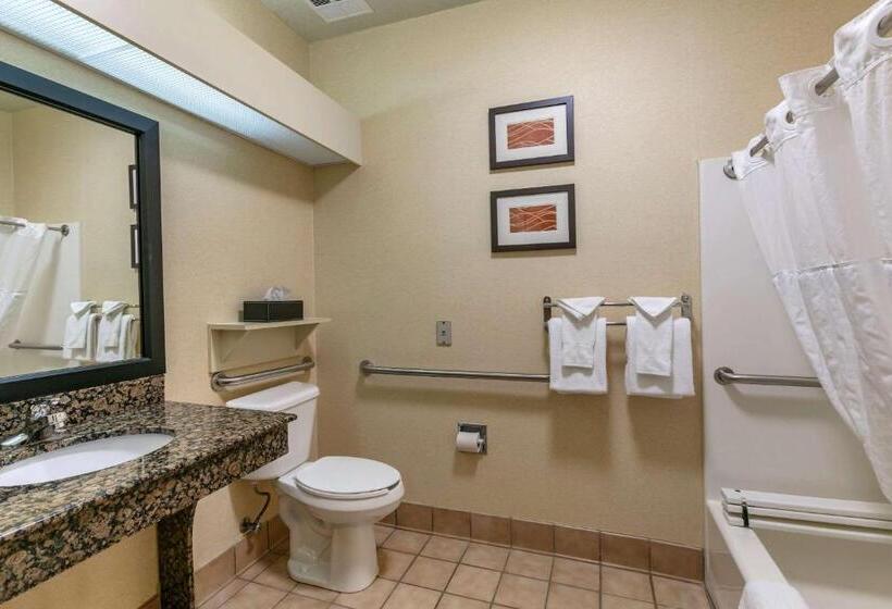 Номер Стандарт Кровать Кинг Адаптированный для Инвалидов, Comfort Inn Fort Collins North
