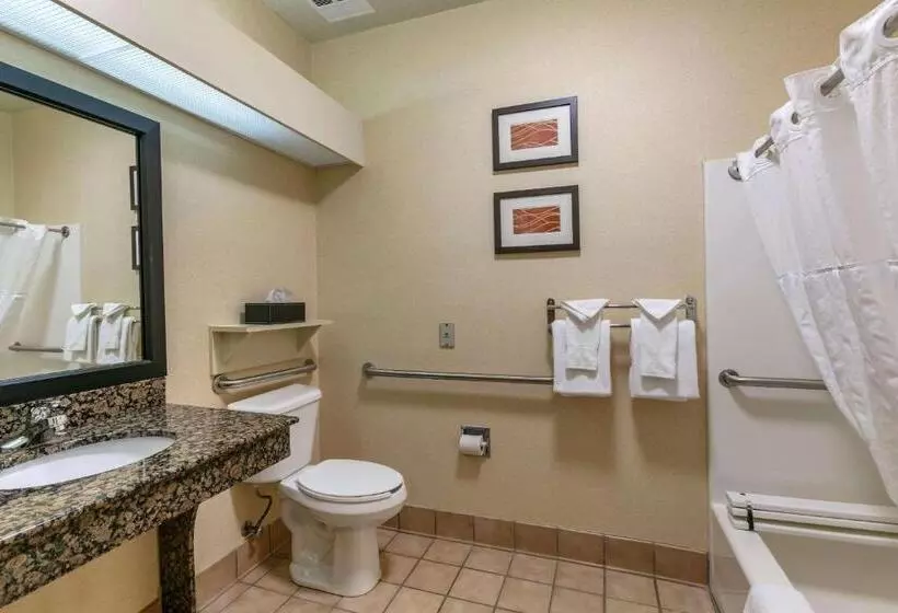 اتاق استاندارد با تخت بزرگ برای معلولان, Comfort Inn Fort Collins North