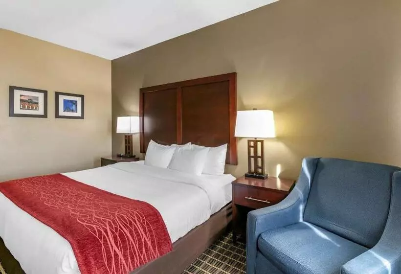 اتاق استاندارد با تخت بزرگ برای معلولان, Comfort Inn Fort Collins North