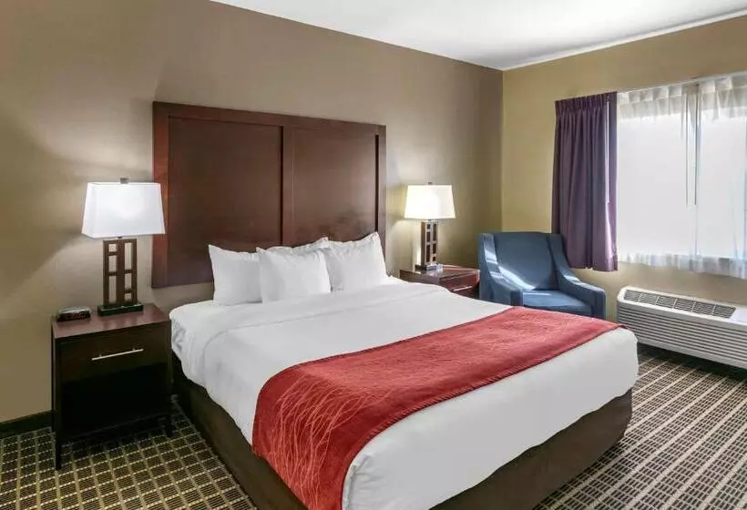 اتاق استاندارد با تخت بزرگ برای معلولان, Comfort Inn Fort Collins North