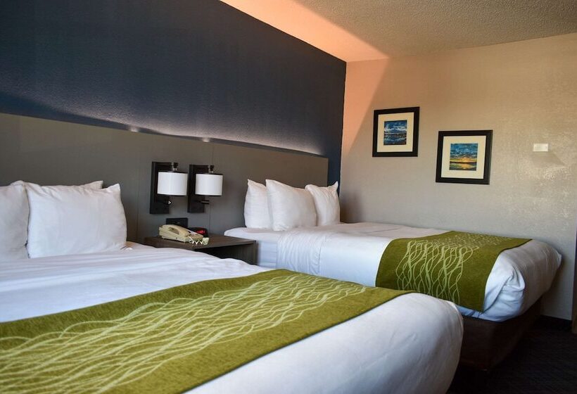 غرفه قياسيه سريرين مزدوجين, Comfort Inn & Suites Cartersville   Emerson Lake Point