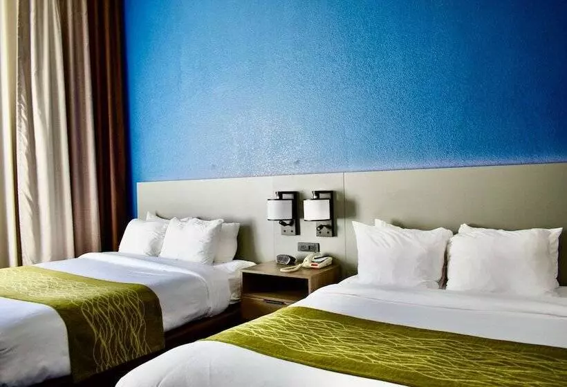 2ダブルベッドのスタンダードルーム, Comfort Inn & Suites Cartersville Emerson Lake Point