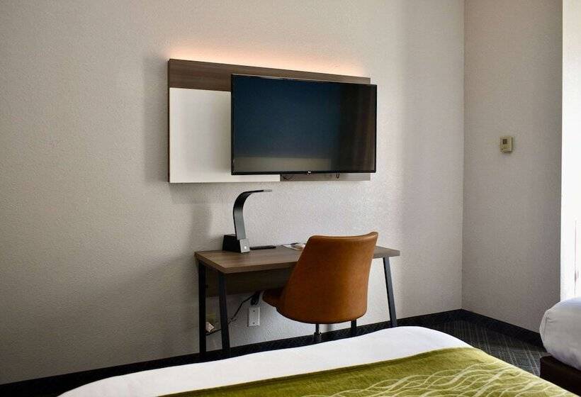 غرفه قياسيه سريرين مزدوجين, Comfort Inn & Suites Cartersville   Emerson Lake Point