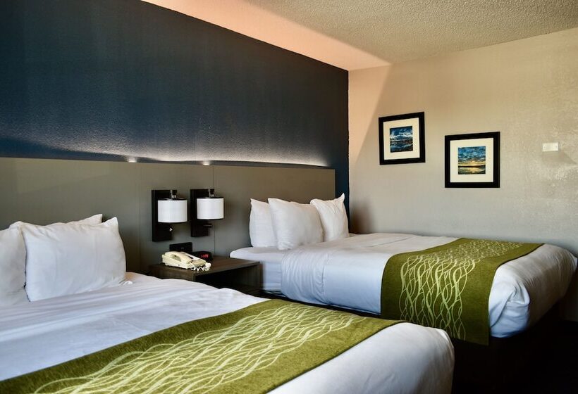 غرفه قياسيه سريرين مزدوجين, Comfort Inn & Suites Cartersville   Emerson Lake Point