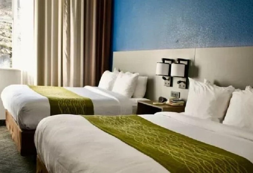 غرفه قياسيه سريرين مزدوجين, Comfort Inn & Suites Cartersville   Emerson Lake Point