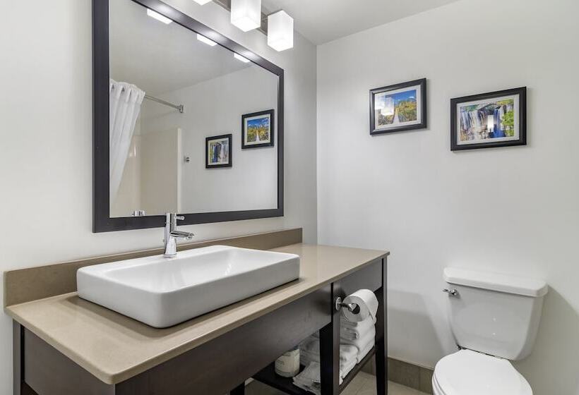 جناح, Comfort Inn & Suites Cartersville   Emerson Lake Point