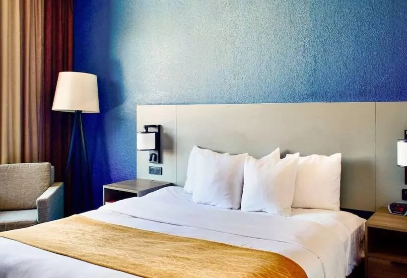スイート, Comfort Inn & Suites Cartersville Emerson Lake Point