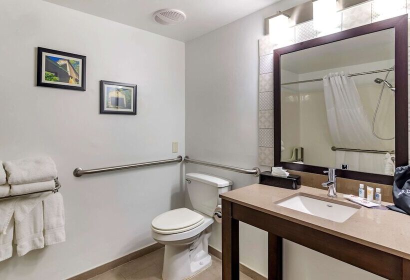 جناح لذوى الاحتياجات الخاصة, Comfort Inn & Suites Cartersville   Emerson Lake Point