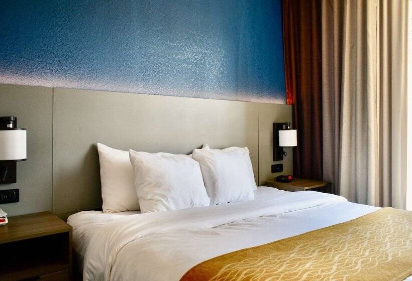 جناح لذوى الاحتياجات الخاصة, Comfort Inn & Suites Cartersville   Emerson Lake Point