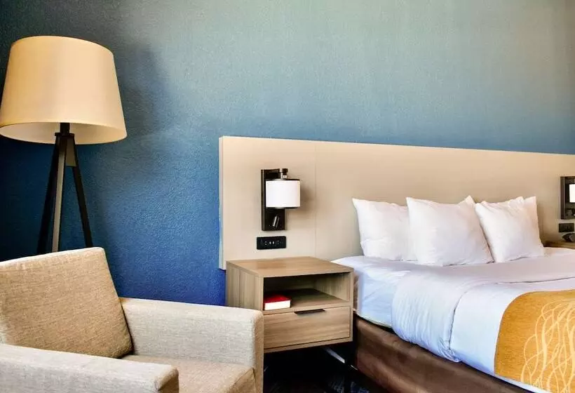 身障者適用スイートルーム, Comfort Inn & Suites Cartersville Emerson Lake Point