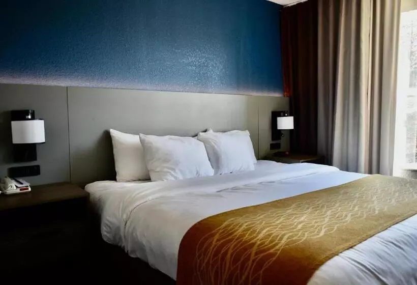 キングサイズベッドのスタンダードルーム, Comfort Inn & Suites Cartersville Emerson Lake Point