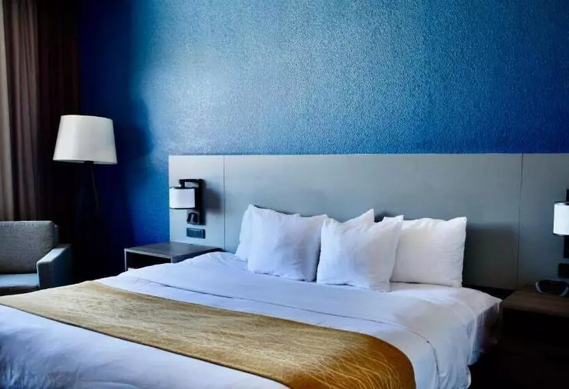 キングサイズベッドのスタンダードルーム, Comfort Inn & Suites Cartersville Emerson Lake Point